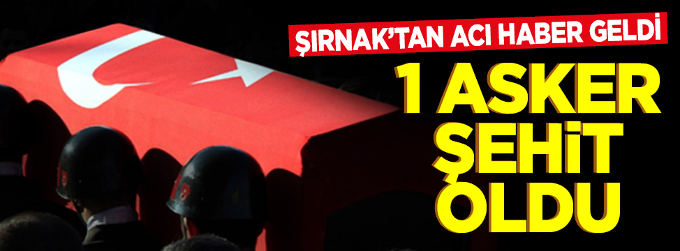 Uzman Çavuş Mehmet Ali Yıldırım şehit oldu